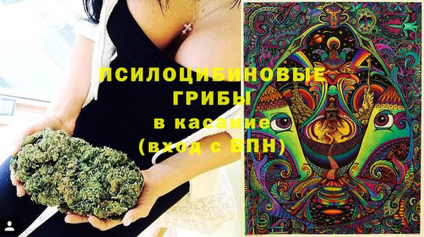 не бодяженный Волосово